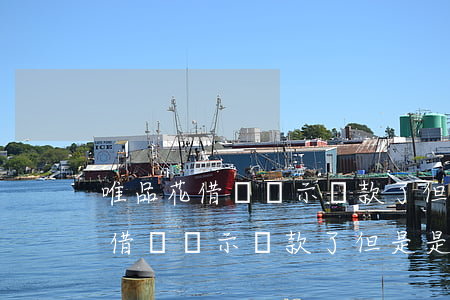 唯品花借錢顯示還款了但是是灰色-唯品花借錢顯示還款了但是是灰色的怎么辦
