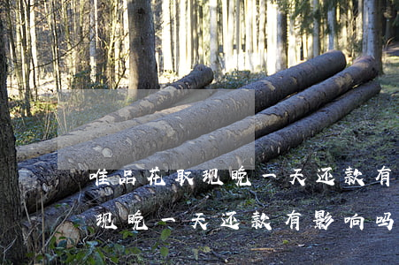 唯品花取现晚一天还款有影响吗-唯品花取现晚一天还款有影响吗安全吗