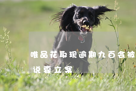 唯品花取现逾期九百会被起诉吗(唯品花逾期说要立案)