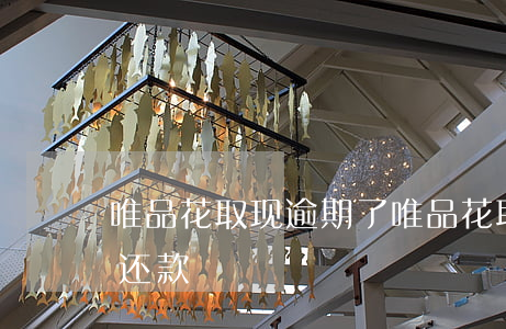 唯品花取现逾期了（唯品花取现逾期怎么协商还款）