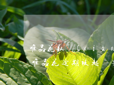 唯品花取現(xiàn)逾期多少錢會起訴(唯品花逾期被起訴要承擔什么法律后果)