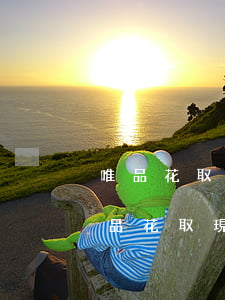 唯品花取現(xiàn)逾期起訴的案例(唯品花取現(xiàn)逾期起訴的案例)