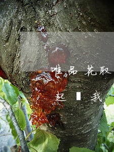 唯品花取現逾期三天（唯品金融取現逾期說要起訴我）