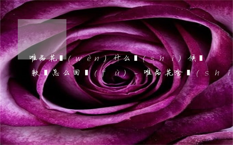 唯品花問(wèn)什么時(shí)候還款該怎么回復(fù)-唯品花啥時(shí)候還款