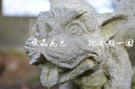 唯品花忘記還款逾期一回
