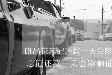 唯品花忘记还款一天会影响征信吗-唯品花忘记还款一天会影响征信吗怎么办