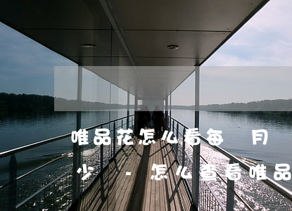 唯品花怎么看每個月應(yīng)還款多少錢-怎么查看唯品花的還款日期