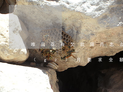 唯品花有欠款隔月怎么還款(唯品花逾期一個(gè)月要求全額還款怎么辦)