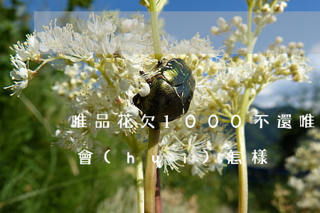 唯品花欠1000不還(唯品欠花500逾期會(huì)怎樣)