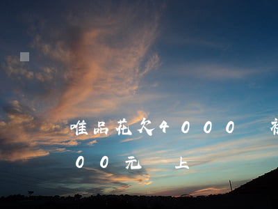 唯品花欠4000會被告嗎(唯品花逾期4000元會上門嗎)