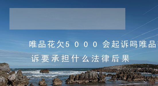 唯品花欠5000会起诉吗(唯品花逾期被起诉要承担什么法律后果)