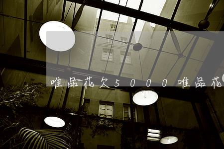 唯品花欠5000(唯品花欠3萬8逾期)