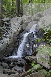 唯品花欠600沒(méi)還(唯品花消費(fèi)欠款逾期會(huì)怎樣)