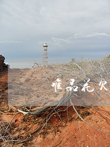 唯品花欠7000(唯品花欠2000多,會起訴嗎)
