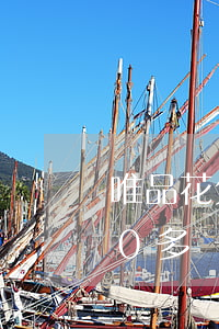 唯品花欠一百多不還會怎樣(唯品花欠2000多,會起訴嗎)