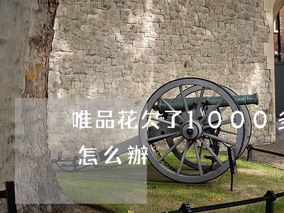 唯品花欠了1000多塊錢(唯品花一萬沒還怎么辦)
