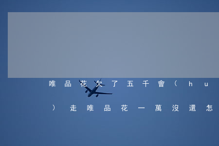 唯品花欠了五千會(huì)不會(huì)走(唯品花一萬沒還怎么辦)