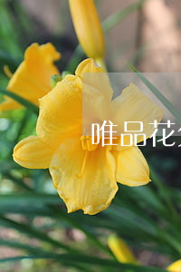 唯品花欠多久会起诉(唯品花逾期说要立案)