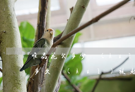 唯品花欠多少會(huì)坐牢(唯品花逾期多久會(huì)被起訴)