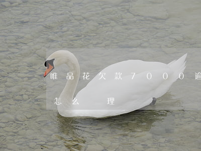 唯品花欠款7000逾期(唯品花借款逾期會怎么處理)