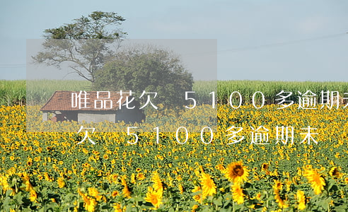 唯品花欠費5100多逾期未還清-唯品花欠費5100多逾期未還清會怎么樣