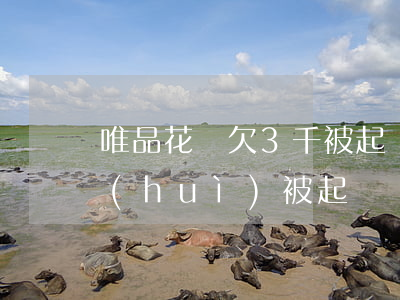 唯品花總欠3千被起訴(欠唯品花3000會(huì)被起訴)