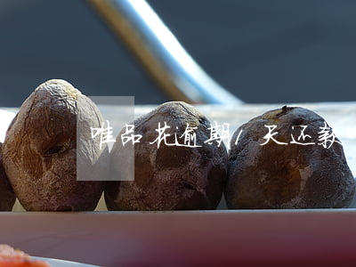 唯品花逾期1天还款(唯品花逾期1天还款)