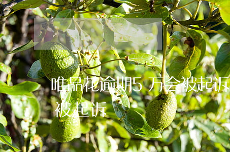 唯品花逾期5万会被起诉（唯品花逾期5万会被起诉）