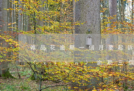 唯品花逾期一個月要起訴(唯品會唯品花取現(xiàn)逾期三個月會被起訴嗎)