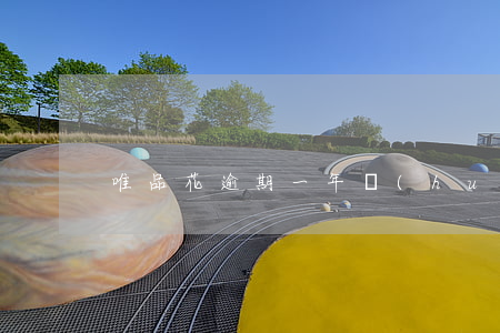 唯品花逾期一年會(huì)被起訴么