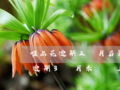 唯品花逾期三個月后果(唯品花欠10000,逾期3個月未還,會上門嗎)
