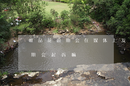 唯品花逾期会在媒体上发公告吗-唯品花逾期会起诉嘛