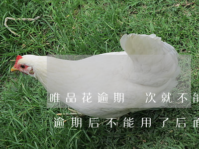 唯品花逾期兩次就不能用了怎么辦-唯品花逾期后不能用了,后面還了還能用嗎?