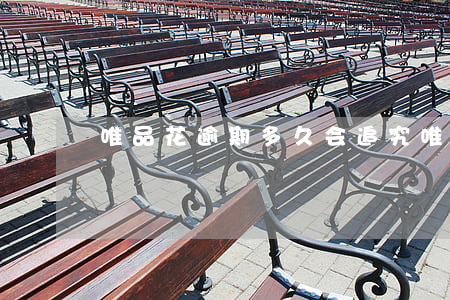 唯品花逾期多久会追究 唯品花可以逾期多久
