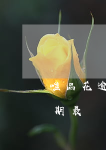 唯品花逾期多久會(huì)追究（唯品花逾期最長(zhǎng)時(shí)間）