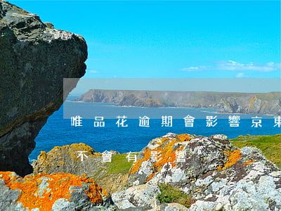 唯品花逾期會影響京東嗎(唯品花逾期一天會不會有影響)