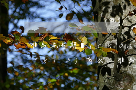 唯品花逾期產(chǎn)生的利息可以協(xié)商么-唯品花逾期利息可以減免嗎