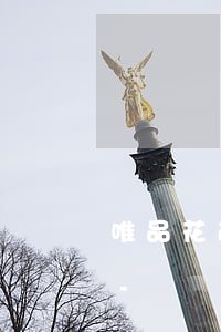 唯品花逾期被停用還能再開(kāi)通么-