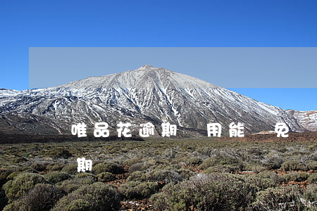 唯品花逾期費用能減免嗎(唯品花逾期一個星期)