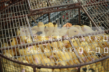 唯品花逾期通知函真的會上門嗎-唯品花逾期通知函真的會上門嗎安全嗎