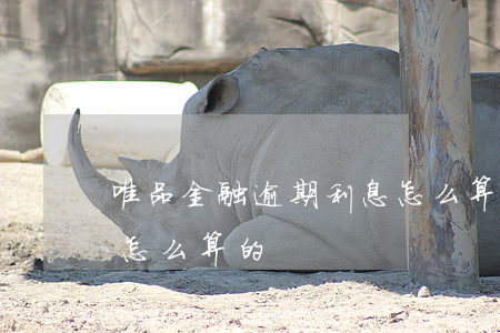 唯品金融逾期利息怎么算(唯品金融逾期利息怎么算的)