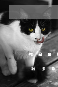 唯品金融逾期會(huì)被起訴嗎(唯品金融逾期會(huì)被起訴嗎)