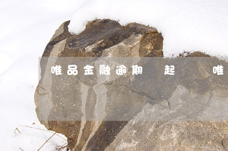 唯品金融逾期會起訴嗎(唯品金融逾期會起訴嗎)