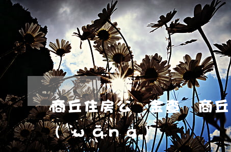 商丘住房公積金查詢(商丘住房公積金查詢網(wǎng))
