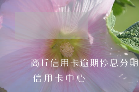 商丘信用卡逾期停息分期申請條件-商丘市信用卡中心