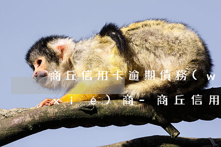 商丘信用卡逾期債務(wù)重組怎么協(xié)商-商丘信用卡逾期債務(wù)重組怎么協(xié)商還款