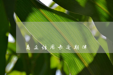 商丘信用卡逾期律師