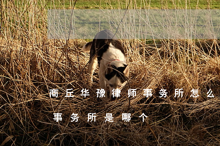 商丘华豫律师事务所怎么样(商丘最大的律师事务所是哪个)