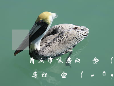 商丘市住房公積金網(wǎng)(商丘市住房公積金網(wǎng)上提取)