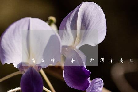商丘律師事務所(河南商丘律師事務所)